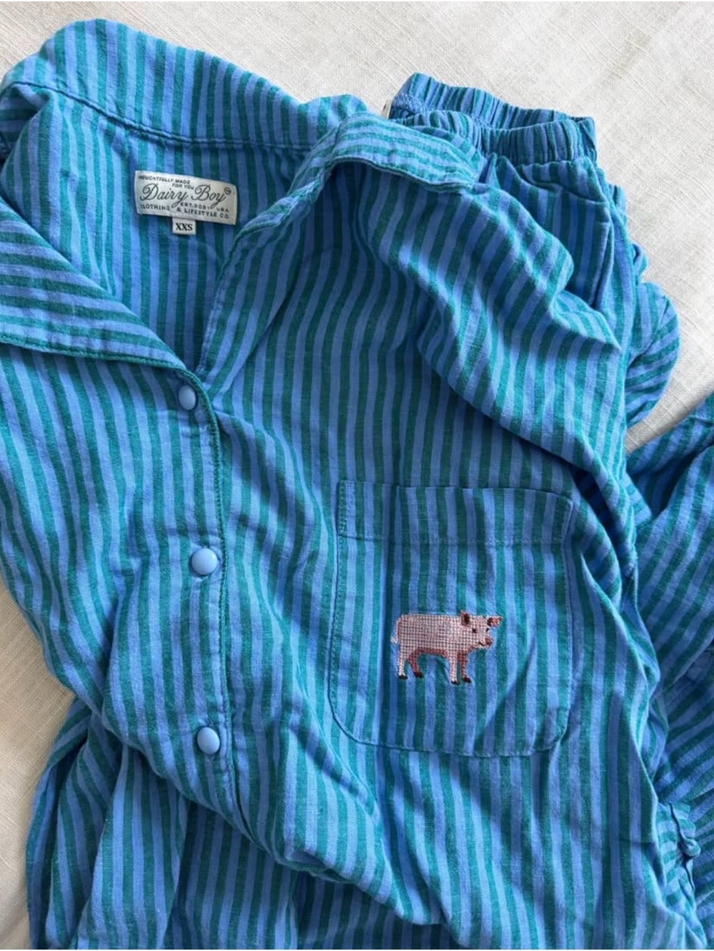 Dairy Boy Farm Friends Pajama - Pig - Teal & Turquoise